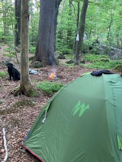 Viele Wildcamper schlagen ihr Zelt mitten in der Kernzone auf. Auch Lagerfeuer werden oftmals entzündet – ohne einen Gedanken an die Waldbrandgefahr zu verschwenden. (Fotos: Nationalparkwacht Bayerischer Wald)