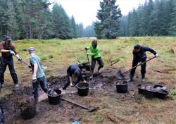 Maßnahmen zum Schutz einzelner Arten oder Lebensräume gibt es vor allem im Randbereich des Nationalparks Bayerischer Wald. (Foto: Ruth Goldhahn)