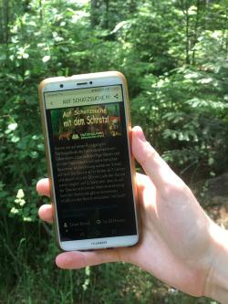 Digital kann man im Tier-Freigelände Falkenstein nun „Auf Schatzsuche mit dem Schratzl“ gehen. (Foto: Paula Feuchtmeyer/Nationalpark Bayerischer Wald)