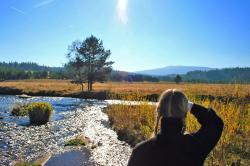 Auch die Natur im Nationalpark Šumava können Teilnehmer bei der Vier-Tageswanderung entdecken. Auf der tschechischen Seite wird auch übernachtet, und zwar auf ausgewiesenen Zeltplätzen. (Foto: Lucia Pec/Nationalpark Šumava)