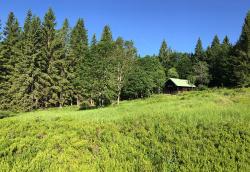Bildunterschrift: Der Lindberger Schachten ist Ziel der Wanderung am 25. Juli. (Foto: Gregor Wolf/Nationalpark Bayerischer Wald – Freigabe nur in Verbindung mit dem Veranstaltungshinweis)