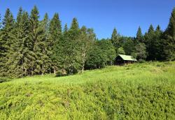 Bildunterschrift: Der Lindberger Schachten ist Ziel der Wanderung am 25. Juli. (Foto: Gregor Wolf/Nationalpark Bayerischer Wald ­  –  Freigabe nur in Verbindung mit dem Veranstaltungshinweis)