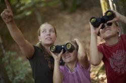 Viel zu entdecken gibt es beim Ferienprogramm des Nationalparks Bayerischer Wald. (Foto: Jan Greune)