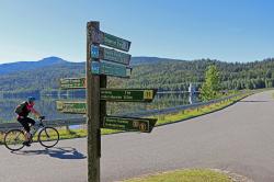Die geführte Tour am Sonntag führt auch vorbei an der Trinkwassertalsperre Frauenau. (Foto: Annette Nigl/Nationalpark Bayerischer Wald)