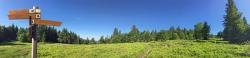 Um ein Zuwachsen der Schachten zu verhindern, werden die ehemaligen Weideflächen regelmäßig gepflegt. (Foto: Gregor Wolf/Nationalpark Bayerischer Wald)