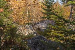 Eine Tour durch den herbstlichen Bergmischwald gibt’s am 26. September. (Foto: Andreas Stumpp/Nationalpark Bayerischer Wald)