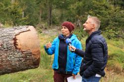 Eine der ersten Gesprächspartnerinnen für Podcast-Host Christian Keim war Silvia Pflug, Nationalpark-Försterin in der Dienststelle Bayerisch Eisenstein. (Foto: Gregor Wolf/Nationalpark Bayerischer Wald)