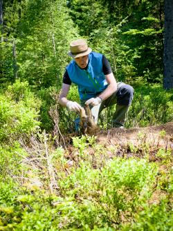 Wissenschaftler Christian von Hoermann untersucht die Effekte der Kadaverzersetzung im Nationalpark. (Foto: Daniela Blöchinger)