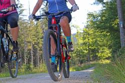 Knapp 50 Kilometer wird bei der Radtour am kommenden Sonntag durch die wilde Natur geradelt.  (Foto: Annette Nigl/Nationalpark Bayerischer Wald)