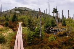 Vom Markfleckl aus führt der Weg bei der Wanderung am 24. Oktober hinauf zum Lusen. (Foto: Sandra Schrönghammer /Nationalpark Bayerischer Wald ­  –  Freigabe nur in Verbindung mit dem Veranstaltungshinweis)