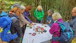 Die neuen Waldführer musste nicht nur eine schriftliche, sondern auch eine praktische Prüfung im Gelände ablegen. (Foto: Lukas Laux/Nationalpark Bayerischer Wald)