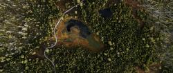 Am Eröffnungsabend der NaturVision Filmtage läuft der Film „Der wilde Wald“. Das Event ist bereits ausgebucht. (Quelle: NaturVision)