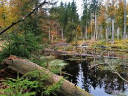 Vorbei an der Steinbachklause wandern die Teilnehmer der Tagestour am Sonntag, 7. November. (Foto: Julia Zink)