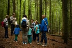 Im Nationalpark Bayerischer Wald werden Commerzbank-Umweltpraktikanten hauptsächlich in der Umweltbildung, wie hier im Waldspielgelände bei Spiegelau, eingesetzt. (Foto: Irene Gianordoli/Nationalpark Bayerischer Wald)