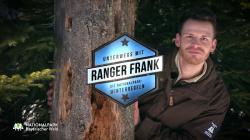 Schelmisch hinterm Baum hervor schaut Kabarettist Martin Frank im Vorschaubild des Nationalpark-YouTube-Kanals. (Foto: Nationalpark Bayerischer Wald)