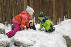 Viel winterlicher Spaß ist beim Familienprogramm des Nationalparks garantiert.  (Foto: Gregor Wolf/Nationalpark Bayerischer Wald)