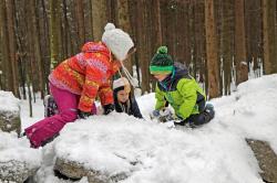 Viel winterlicher Spaß ist beim Familienprogramm des Nationalparks garantiert. (Foto: Gregor Wolf/Nationalpark Bayerischer Wald)
