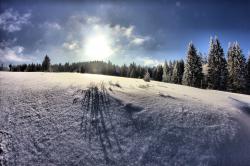 Der tief verschneite Ruckowitzschachten Foto: Michael Pscheidl/Nationalpark Bayerischer Wald