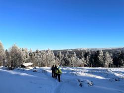 Der Jährlingsschachten mit Blick auf die Schutzhütte. Foto: Sandra Schrönghammer