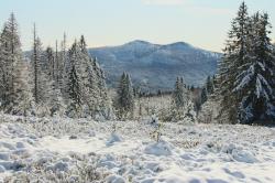 Ein einzigartiger Blick auf den großen Rachel erwartet die Teilnehmer der Schneeschuhwanderung am Sonntag, 30. Januar. (Foto: Karl Klostermann)