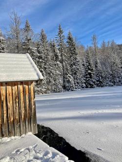 Eine meditative Wanderung zur Martinsklause gibt’s am Samstag, 5. Februar. (Foto: Gregor Wolf)