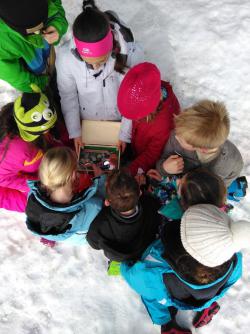 Schulklassenprogramme können nun über ein neu eingerichtetes Online-Formular gebucht werden. (Foto: Anna Hermann / Nationalpark Bayerischer Wald)