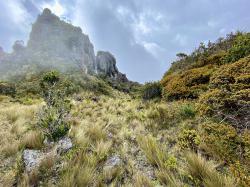 Einblicke in die bedrohte Natur Ecuadors gibt Naturschützer Dr. Martin Schaefer beim kommenden Online-Vortrag des Nationalparks. (Foto: Dr. Martin Schaefer)