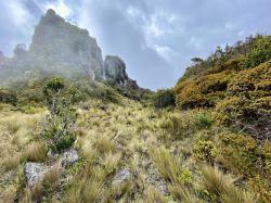 Einblicke in die bedrohte Natur Ecuadors gibt Naturschützer Dr. Martin Schaefer beim kommenden Online-Vortrag des Nationalparks. (Foto: Dr. Martin Schaefer)