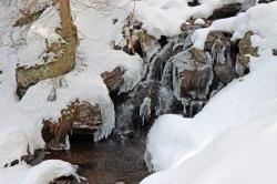 Interessantes über Schnee und dem Wasserhaushalt erfahren die Teilnehmer der Wanderung am kommenden Samstag. (Foto: Gregor Wolf)