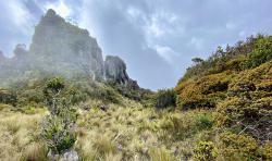 Einblicke in die bedrohte Natur Ecuadors gibt Naturschützer Dr. Martin Schaefer beim kommenden Online-Vortrag des Nationalparks. (Foto: Dr. Martin Schaefer)
