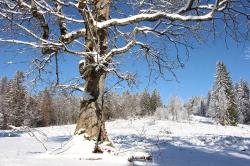 Der Lindberger Schachten ist Ziel der Schneeschuhwanderung am Sonntag, 27. Februar. (Foto: Karl Klostermann)