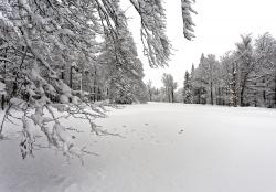 Zum Albrechtschachten führt die Schneeschuhwanderung am Sonntag, 6. März. (Foto: Steffen Krieger)