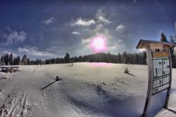 Glitzernder Schnee empfängt die Führungsteilnehmer bei gutem Wetter auf dem Ruckowitzschachten. (Foto: Michael Pscheidl/Nationalpark Bayerischer Wald)