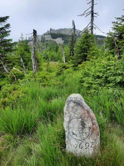 Die Landesgrenze, wie hier am historischen Grenzstein unterhalb des Lusens, ist für die Natur kein Hindernis. Zusammen sind beide Nationalparks das größte zusammenhängende Waldschutzgebiet Mitteleuropas. (Foto: Teresa Schreib/Nationalpark Bayerischer Wald)