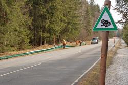 Auf insgesamt vier Kilometern Länge werden aktuell entlang der Nationalparkstraße Amphibienschutzzäune aufgestellt. (Foto: Gregor Wolf/Nationalpark Bayerischer Wald)