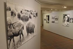 Bilder der Schäferei in den Abruzzen werden noch bis Anfang Mai im Waldgeschichtlichen Museum gezeigt. (Foto: Gregor Wolf/Nationalpark Bayerischer Wald)