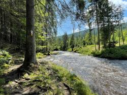 Direkt neben dem Großen Regen verläuft der Flusswanderweg. (Foto: Sandra Schrönghammer)