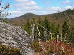 Tolle Ausblicke bieten sich am Großalmeyerschloss, dem höchsten Punkt der Wanderung am Sonntag, 8. Mai. (Foto: Nationalpark Bayerischer Wald)