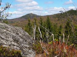 Tolle Ausblicke bieten sich am Großalmeyerschloss, dem höchsten Punkt der Wanderung am Sonntag, 8. Mai.  (Foto: Nationalpark Bayerischer Wald)