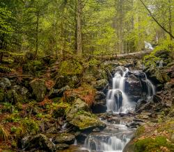 Der Höllbach hat sich im Höllbachgspreng tief ins Tal eingeschnitten. Foto: Steffen Krieger/Nationalpark Bayerischer Wald