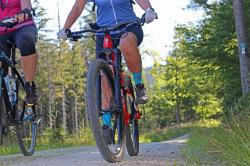 Ein Großteil der Tour am 15. Mai verläuft auf dem Nationalparkradweg.