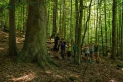 Dutzende ehrenamtliche Waldführer haben sich in den beiden Pro-Nationalpark-Vereinen organisiert. Zum Repertoire gehören auch Führungen mit Kindern und Jugendlichen. (Foto: Thomas Michler/Nationalpark Bayerischer Wald)