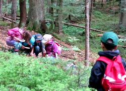 Kinder entdecken spielerisch und neugierig die Waldwildnis im Nationalpark Bayerischer Wald. (Foto: Lenka Balouskova/Nationalpark Bayerischer Wald)