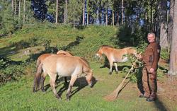 Max Schreder versorgt im Tier-Freigelände bei Ludwigsthal unter anderem die Wildpferde. (Foto: Nationalpark Bayerischer Wald)