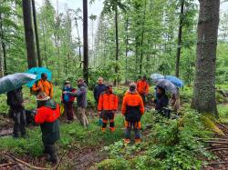 An insgesamt fünf Infopunkten informierten sich die Teilnehmer der Exkursion über das Interregprojekt im Bereich der Nationalparkdienststelle Bayerisch Eisenstein. (Fotos: Peter Karasch/Nationalpark Bayerischer Wald)