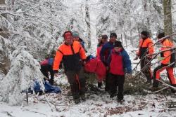 Teamarbeit war nicht nur beim Abtransport des „Verletzten“ gefragt: Nationalpark-Mitarbeiter, Sanitäter und Bergretter arbeiteten Hand in Hand. (Foto: Reinhold Weinberger/Nationalpark Bayerischer Wald)