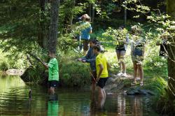 Für Schüler, die den Nationalpark im Rahmen der Schulklassenprogramme entdecken wollen, gibt es erst wieder im Herbst freie Termine. (Foto: Steffen Krieger / Nationalpark Bayerischer Wald)