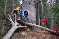 Das Waldspielgelände muss in der zweiten Pfingstferienwoche gesperrt werden.