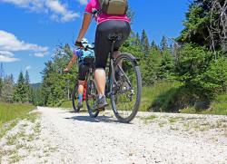 Eine grenzüberschreitende Radtour ins Böhmische wird am Sonntag, 19. Juni, angeboten. (Foto: Nationalpark Bayerischer Wald)