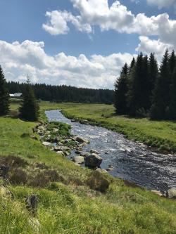 Entlang des Maderbachs führt ein Teil der grenzüberschreitenden Radtour am Sonntag, 26. Juni. (Foto: Jutta Pongratz)